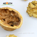 Ukraine new crop good price white walnut kernel